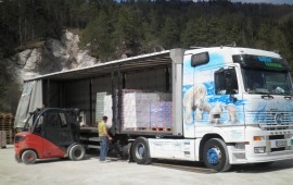 Katern transport - poslikani tovornjaki